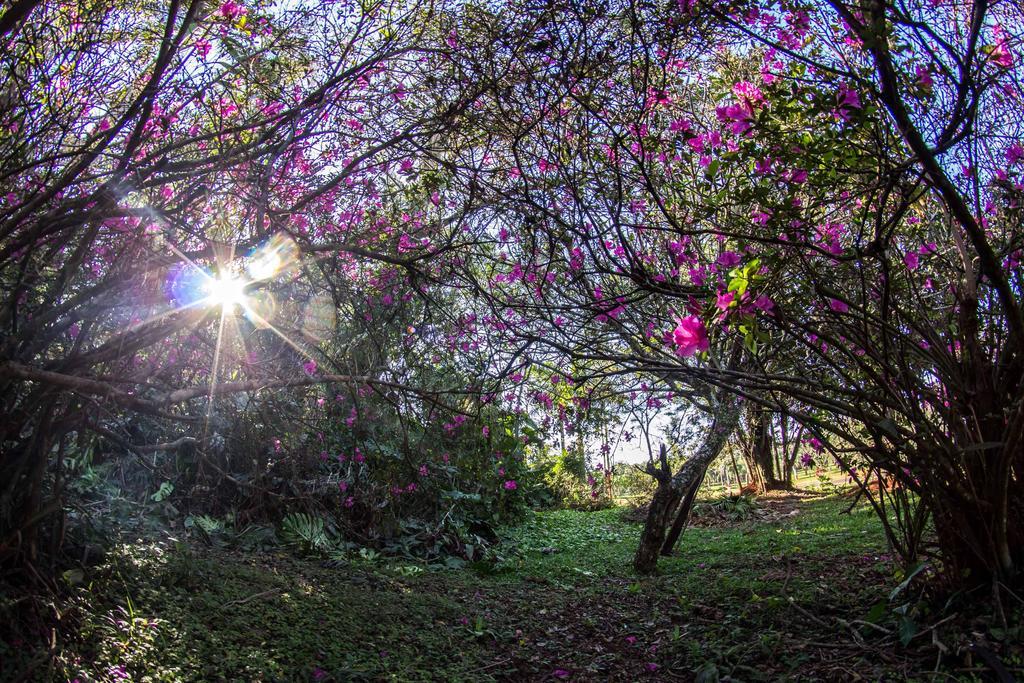 Yaguarete Lodge Puerto Iguazú Dış mekan fotoğraf